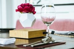 Lyfe Planter - Havada Dönen Saksı - Dekoratif Ürünler