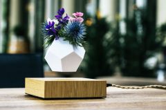 Lyfe Planter - Havada Dönen Saksı - Dekoratif Ürünler